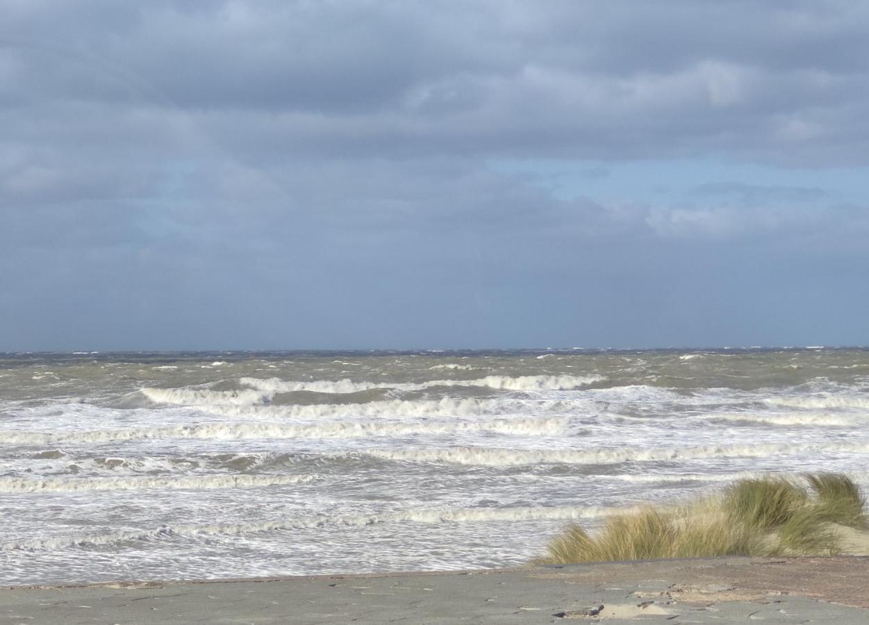Plage Et Jardin A Malo Les Bains Dunkirk Ngoại thất bức ảnh